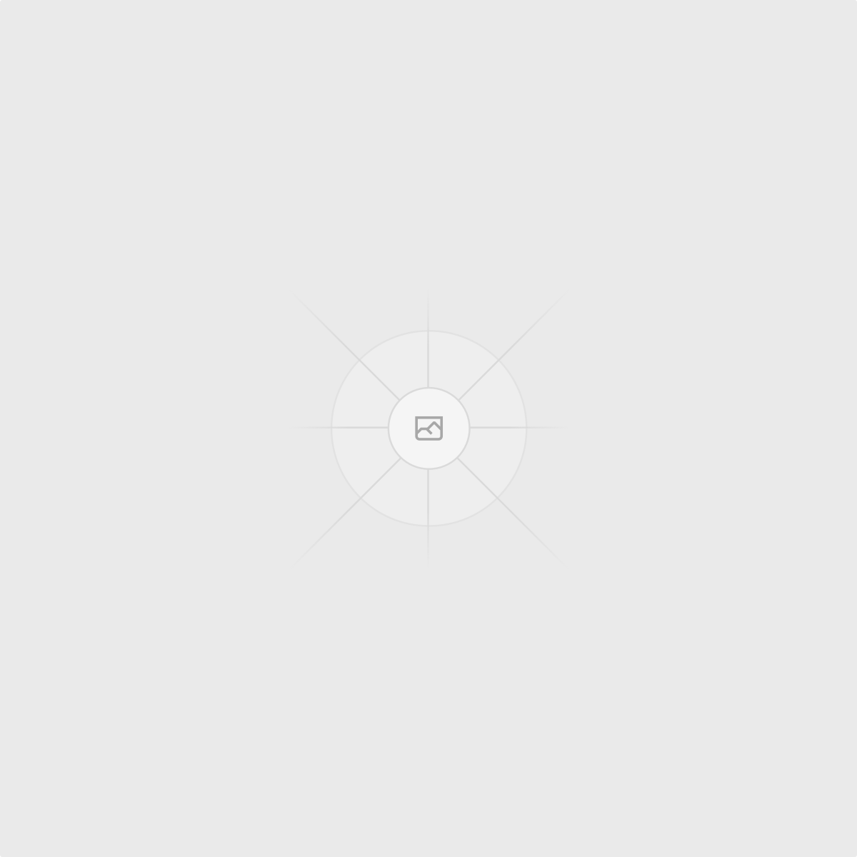 Instagram Pro icon
